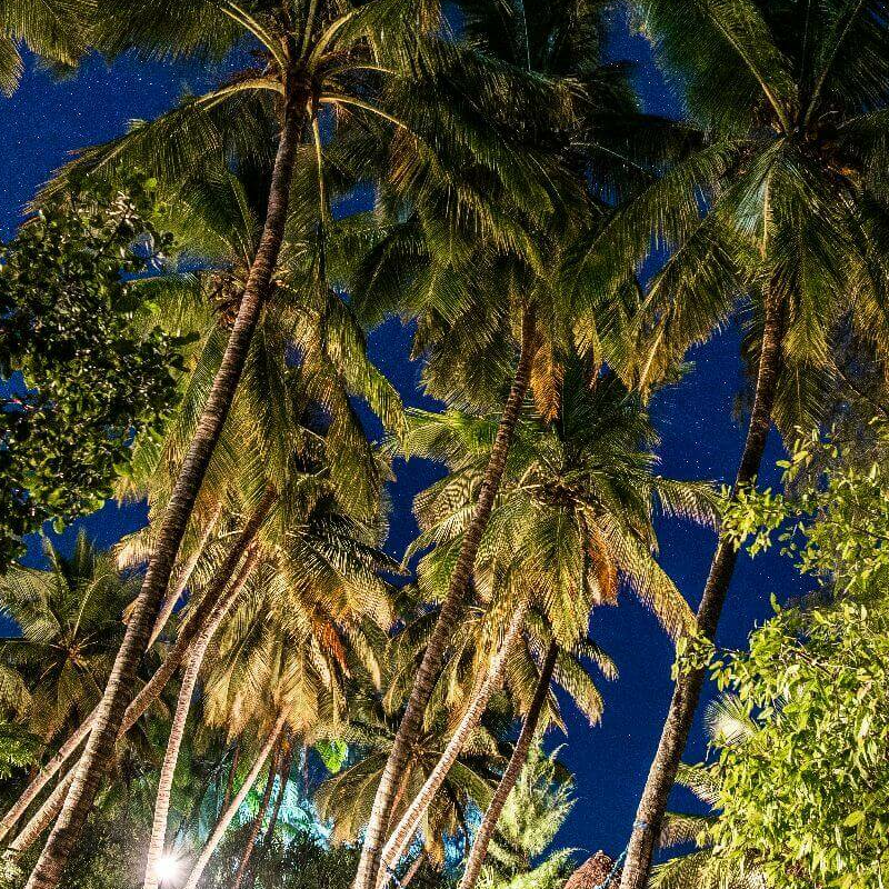 Pongwe Beach Hotel