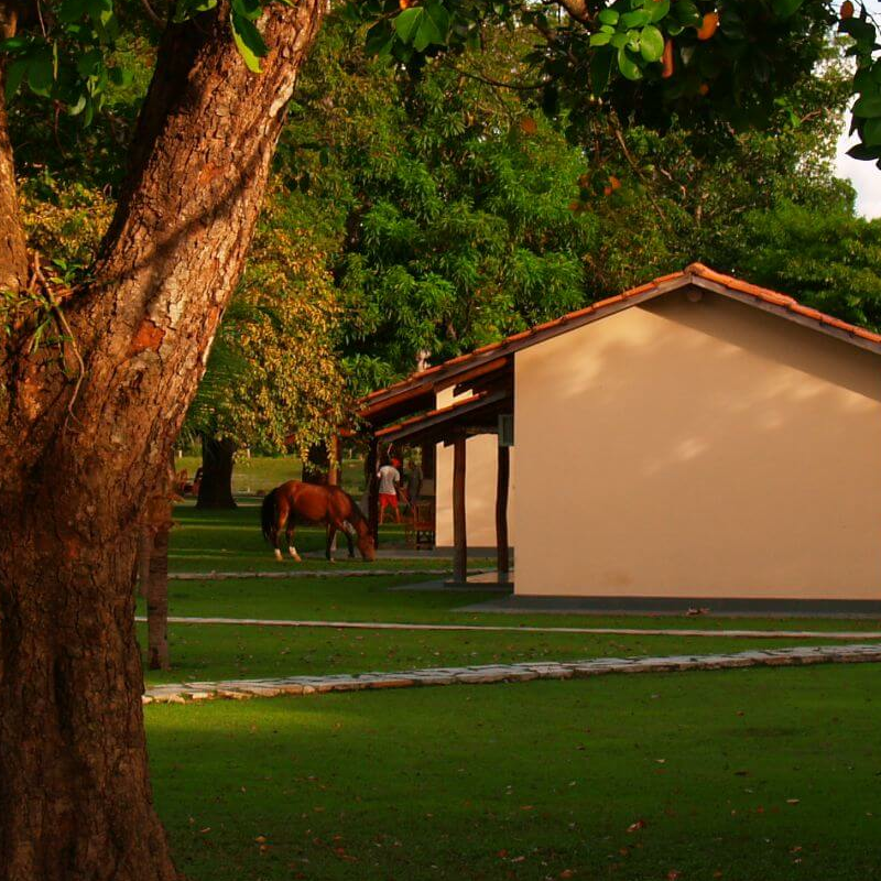 Pousada Rio Mutum