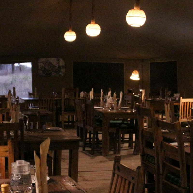 Pure Serengeti Camp
