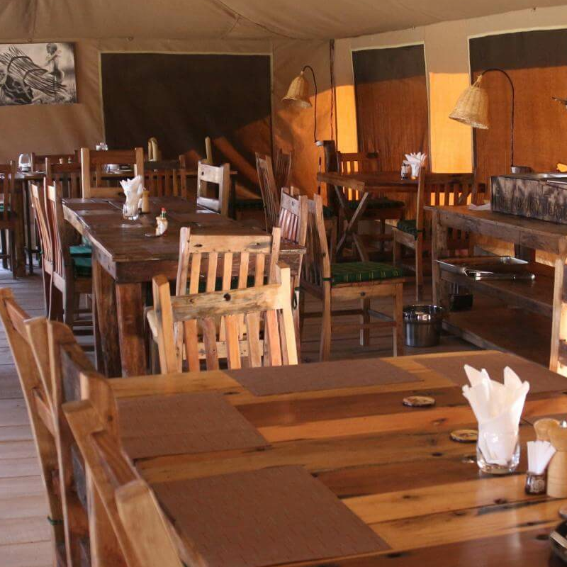 Pure Serengeti Camp