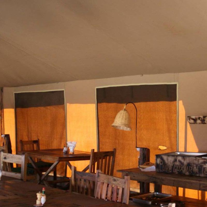 Pure Serengeti Camp