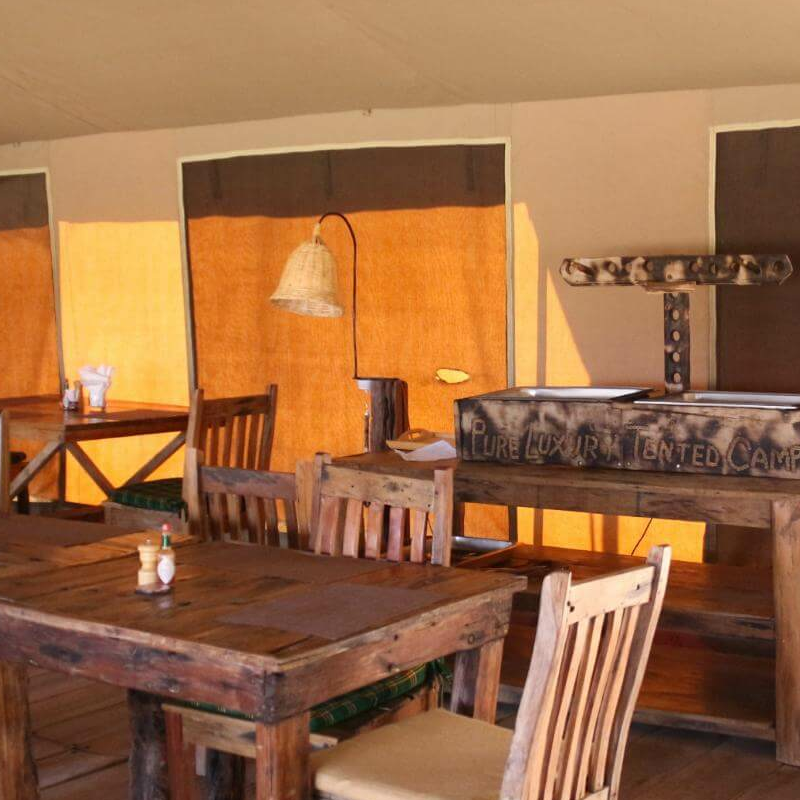 Pure Serengeti Camp