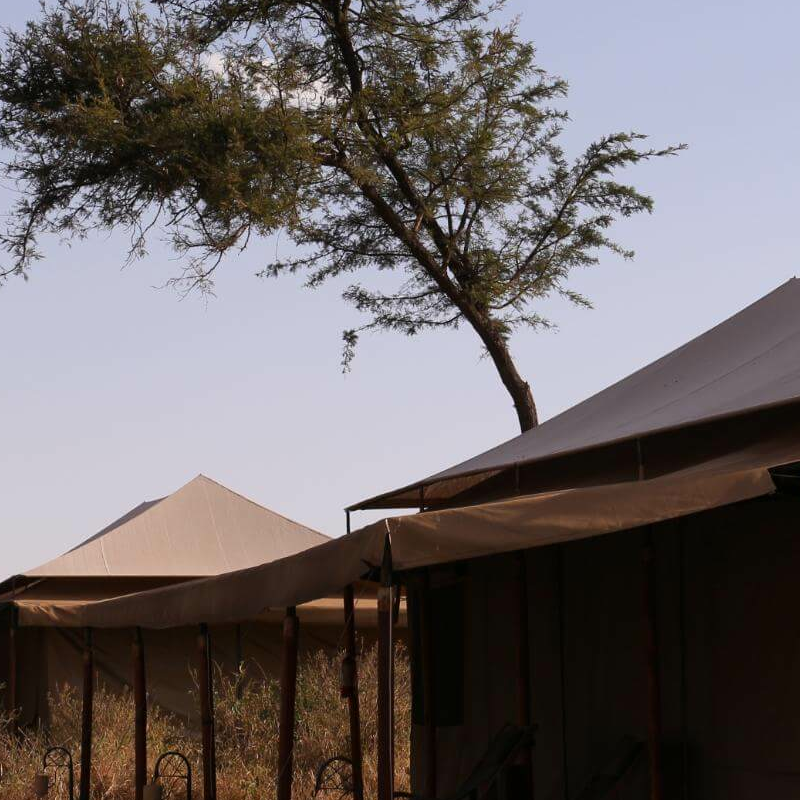 Pure Serengeti Camp