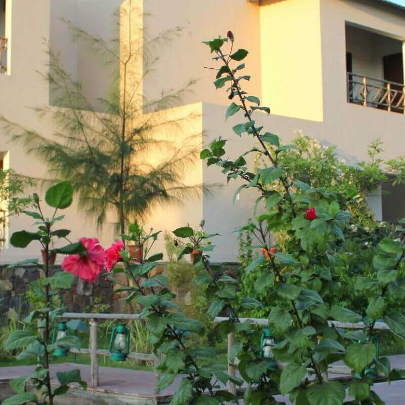 Ranthambhore Kothi Resort