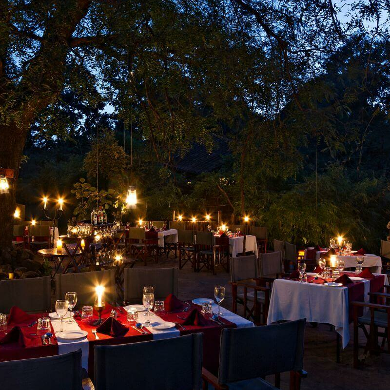 Reni Pani Jungle Lodge