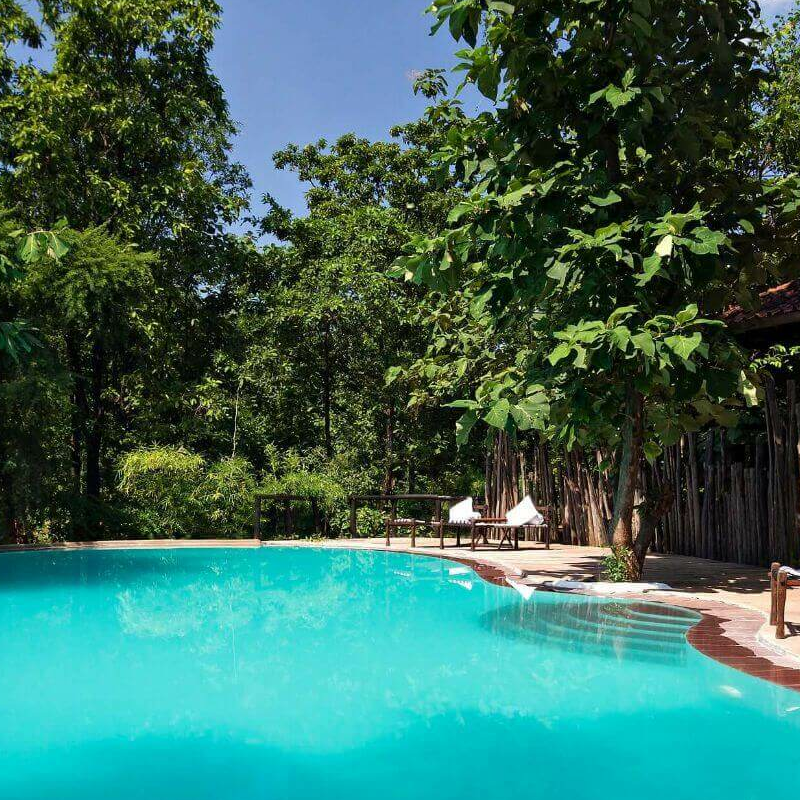 Reni Pani Jungle Lodge