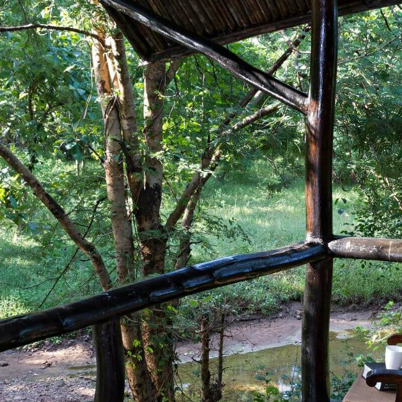 Reni Pani Jungle Lodge