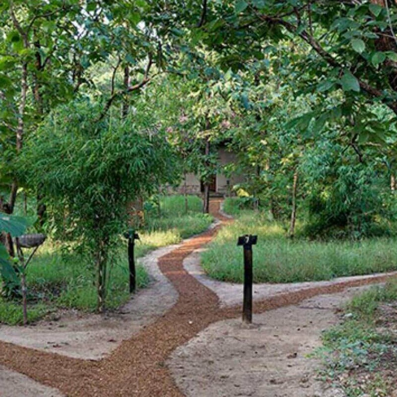 Reni Pani Jungle Lodge