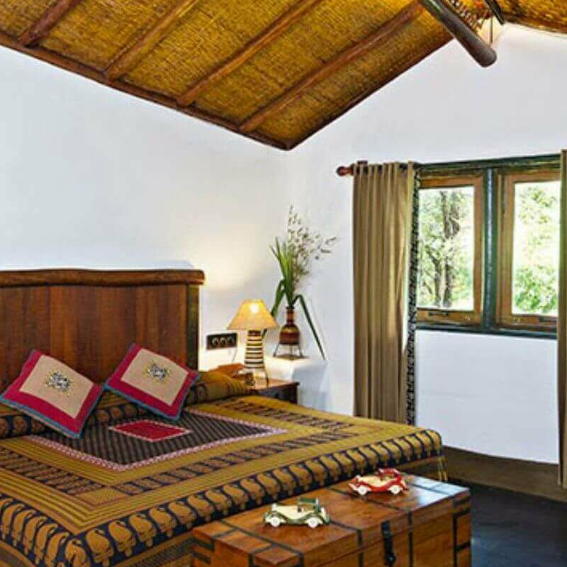 Reni Pani Jungle Lodge