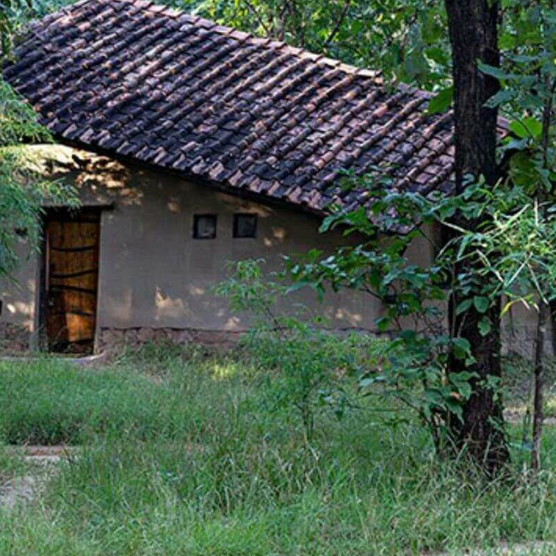 Reni Pani Jungle Lodge