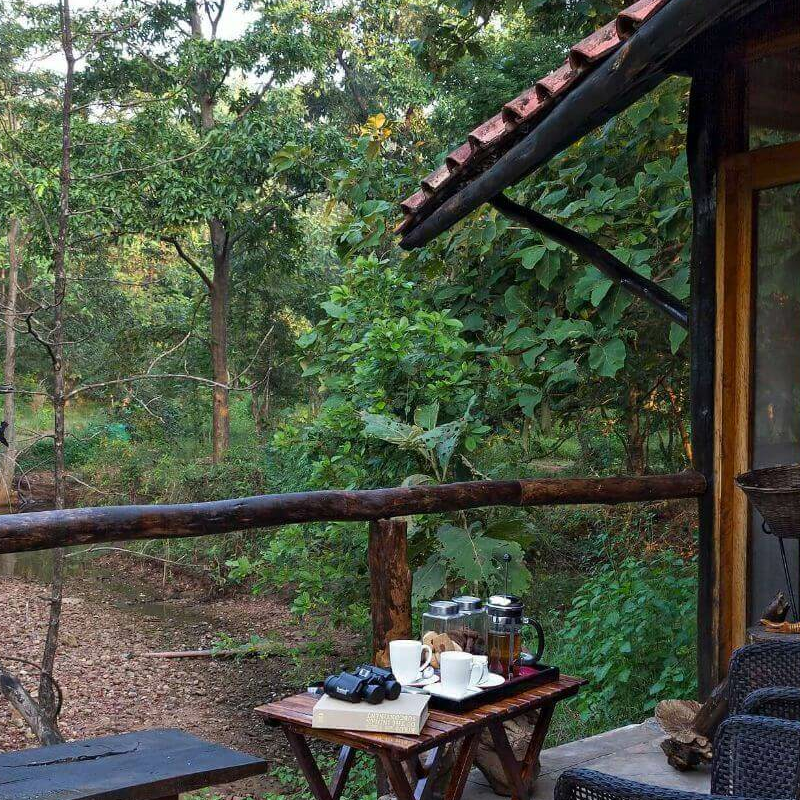 Reni Pani Jungle Lodge