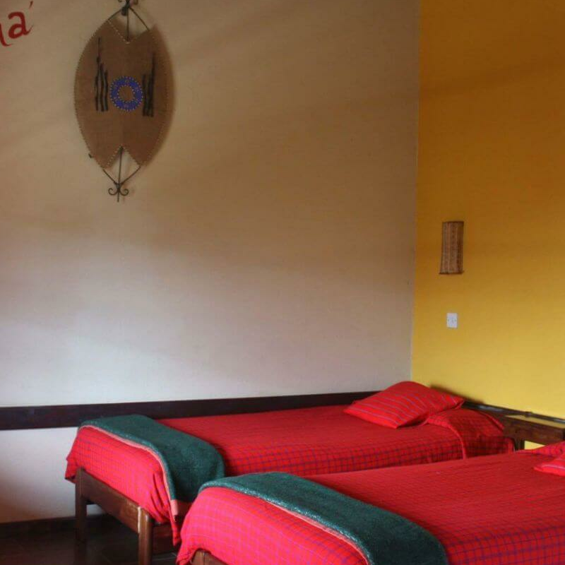 Rhino Lodge