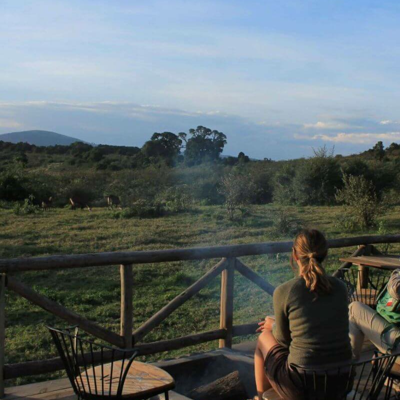 Rhino Lodge