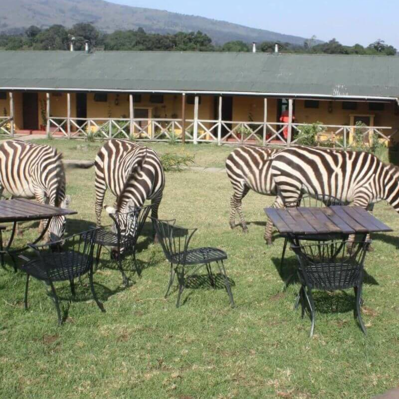 Rhino Lodge