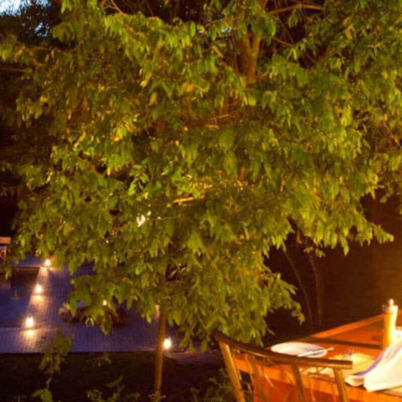 Rhino River Camp