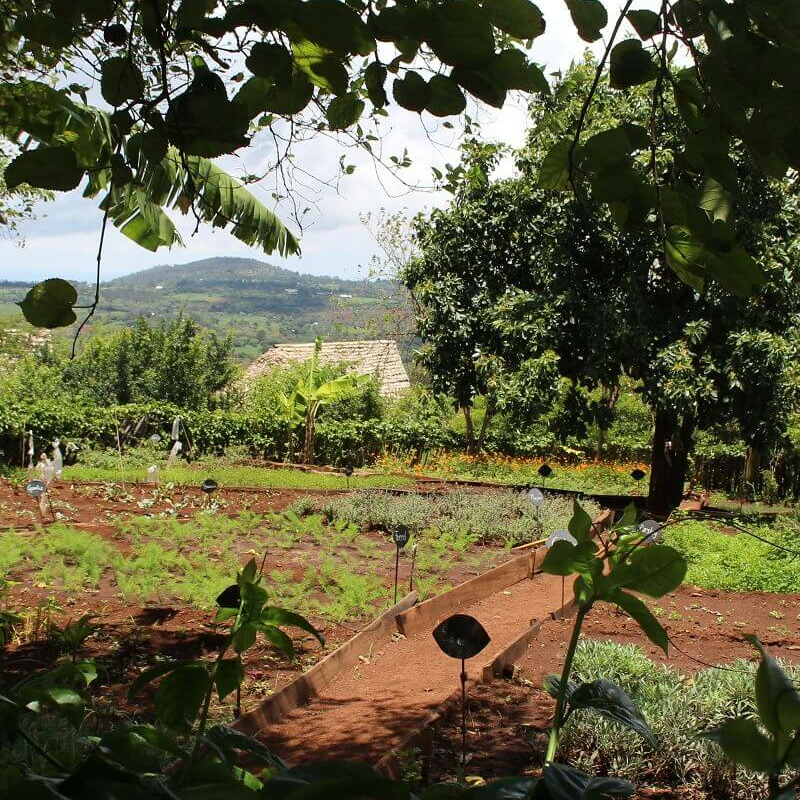 Rhotia Valley