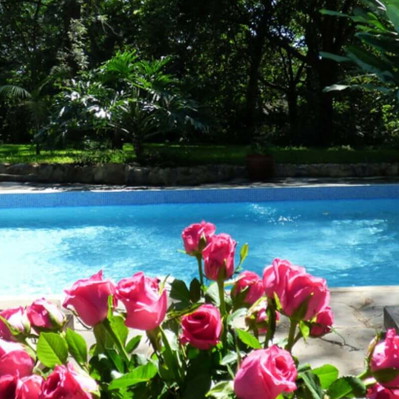 Rivertrees Country Inn