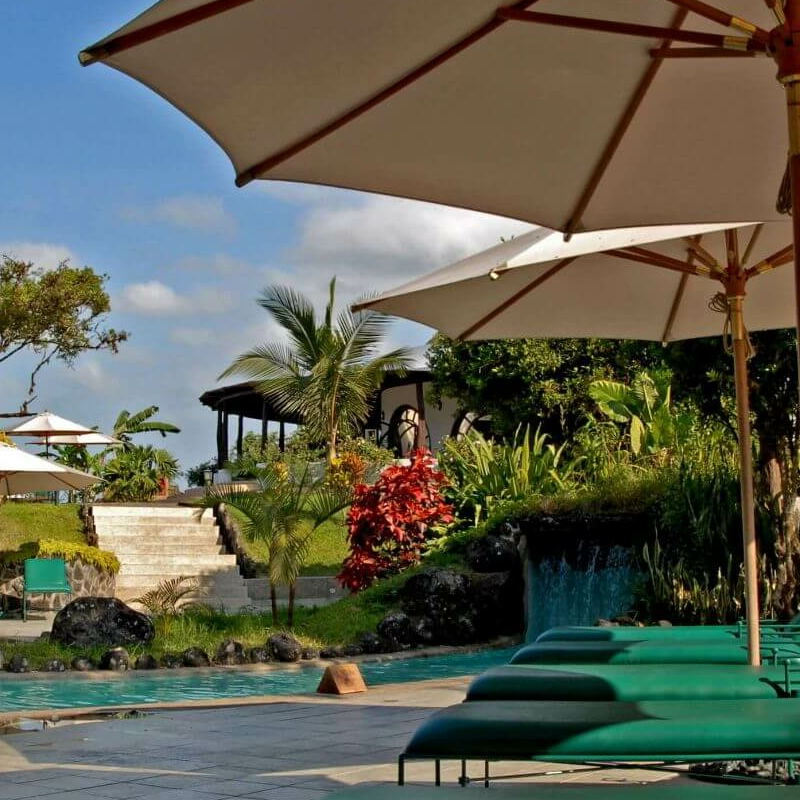 Royal Palm Hotel