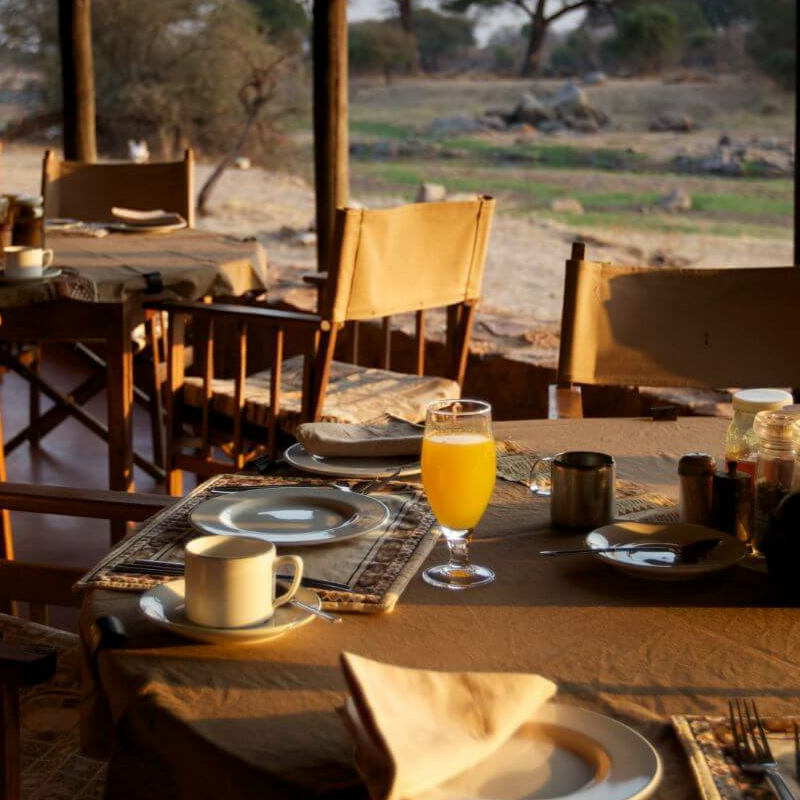 Ruaha River Lodge