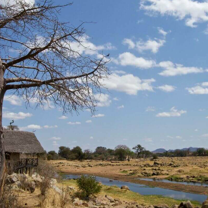 Ruaha River Lodge