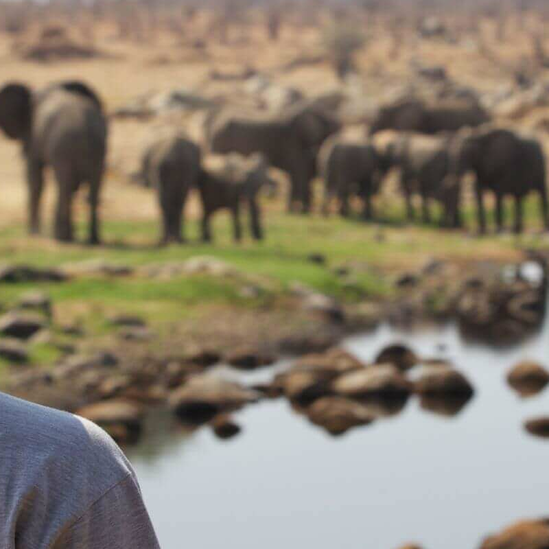 Ruaha River Lodge