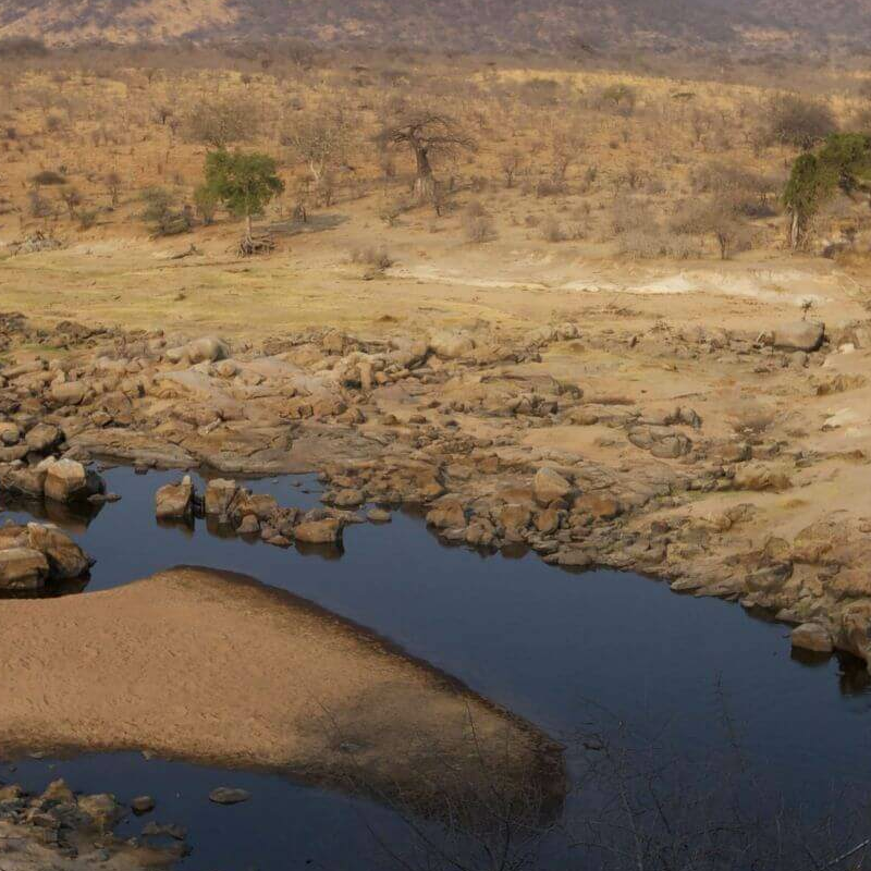 Ruaha River Lodge