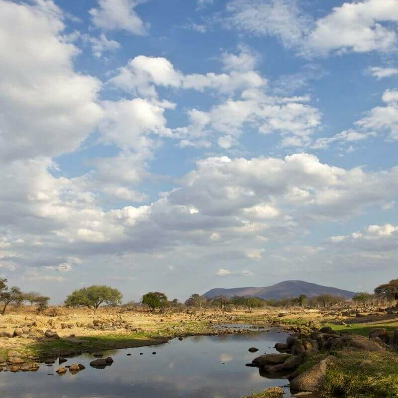 Ruaha River Lodge