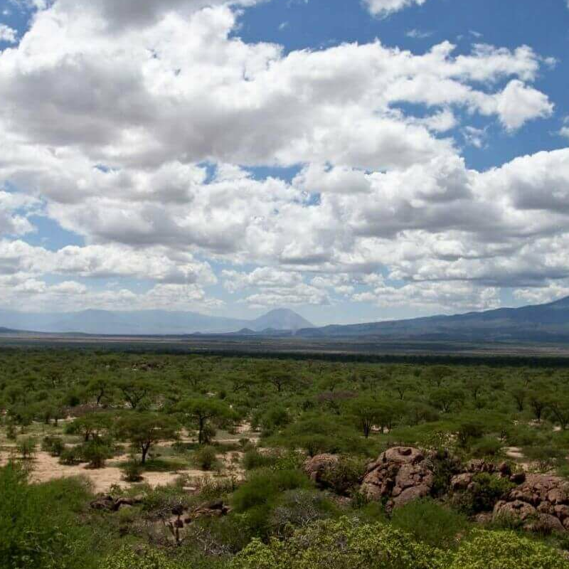 Ruaha Tandala Tented Camp