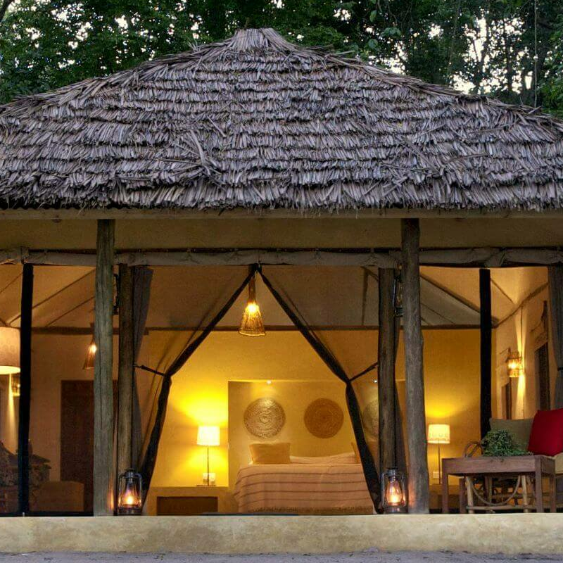 Rubondo Island Camp