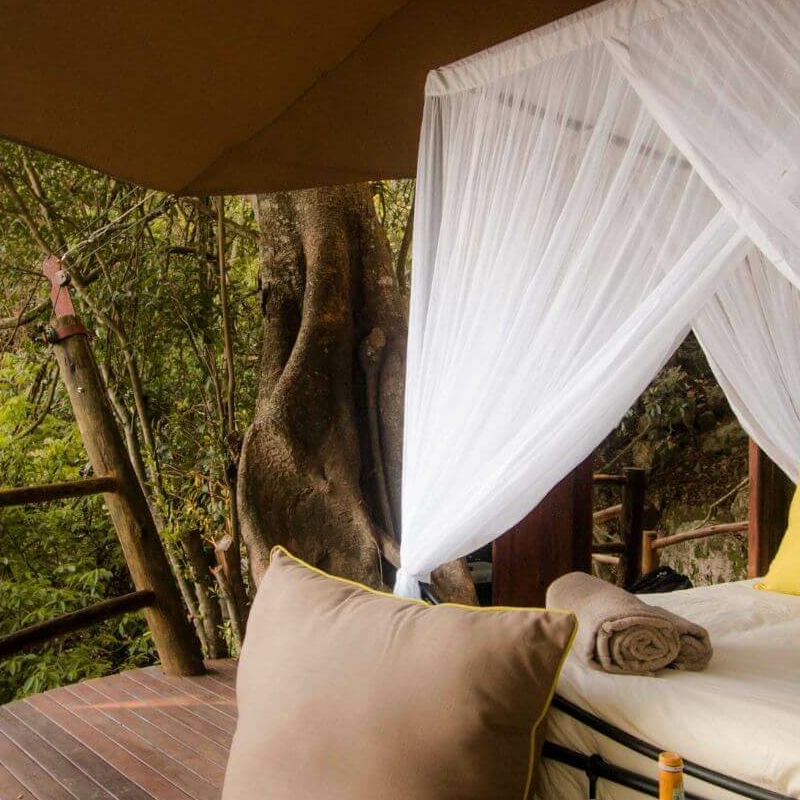Rubondo Island Camp