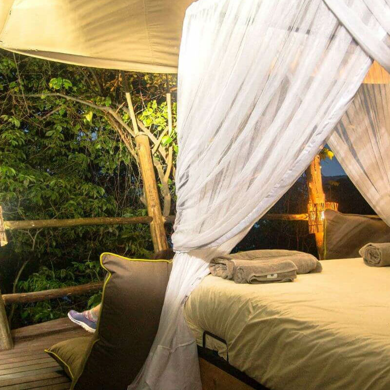 Rubondo Island Camp