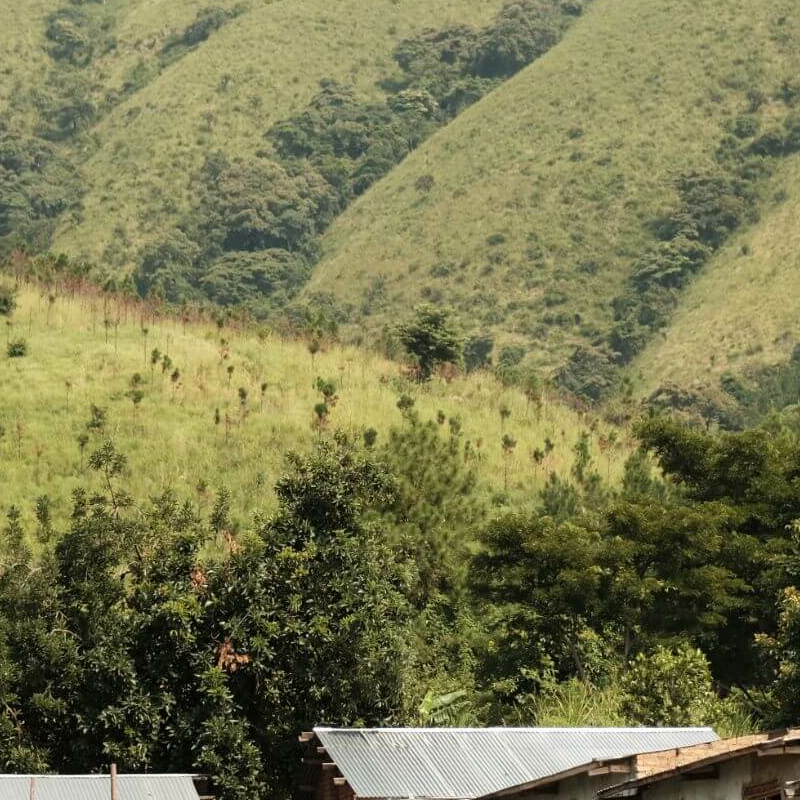 Ruwenzori Kilembe-Trail