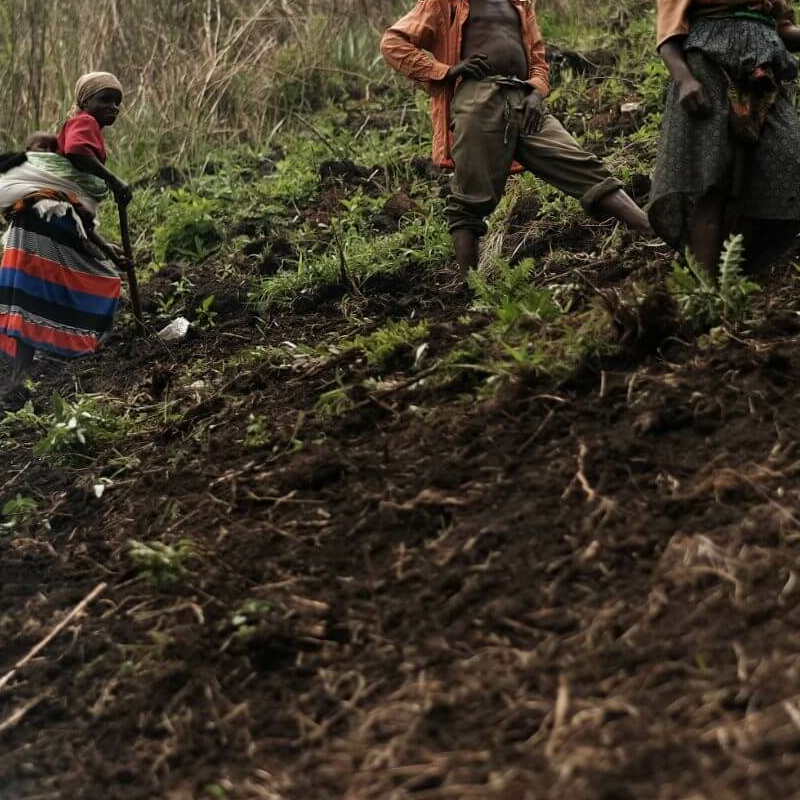 Ruwenzori Kilembe-Trail