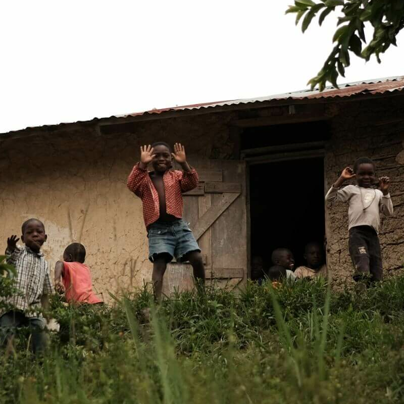 Ruwenzori Kilembe-Trail