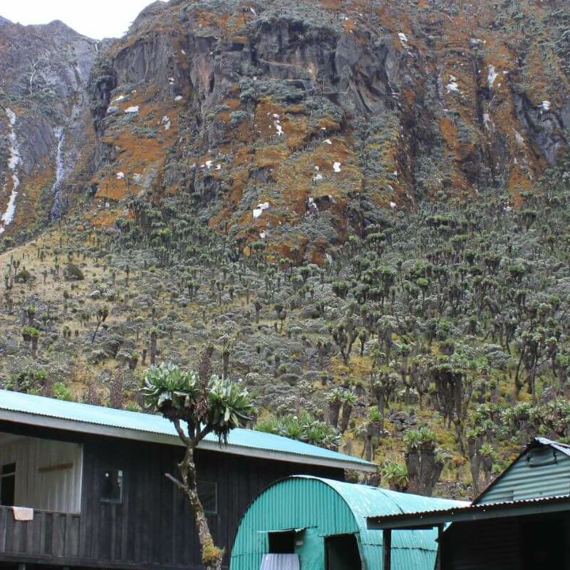Ruwenzori Kilembe-Trail