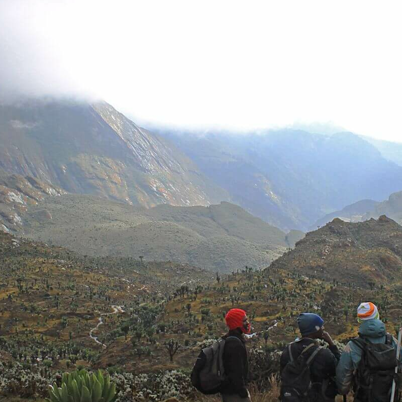 Ruwenzori Kilembe-Trail