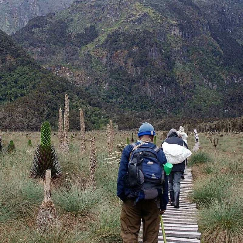 Ruwenzori Kilembe-Trail