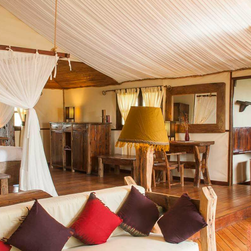 Saadani Safari Lodge