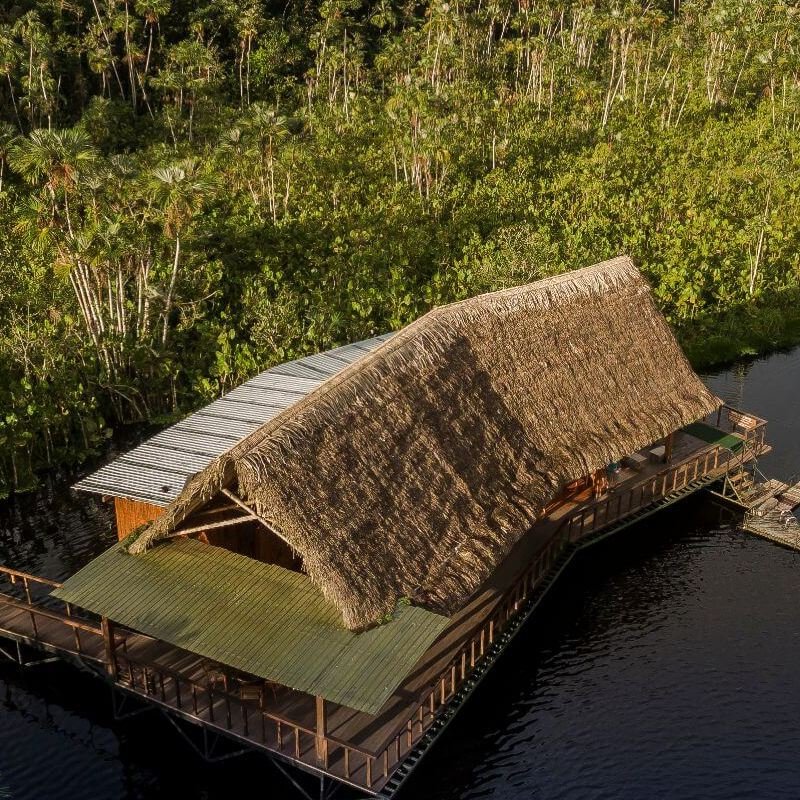 Sacha Lodge