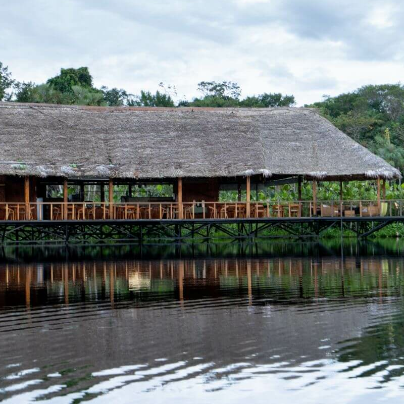 Sacha Lodge