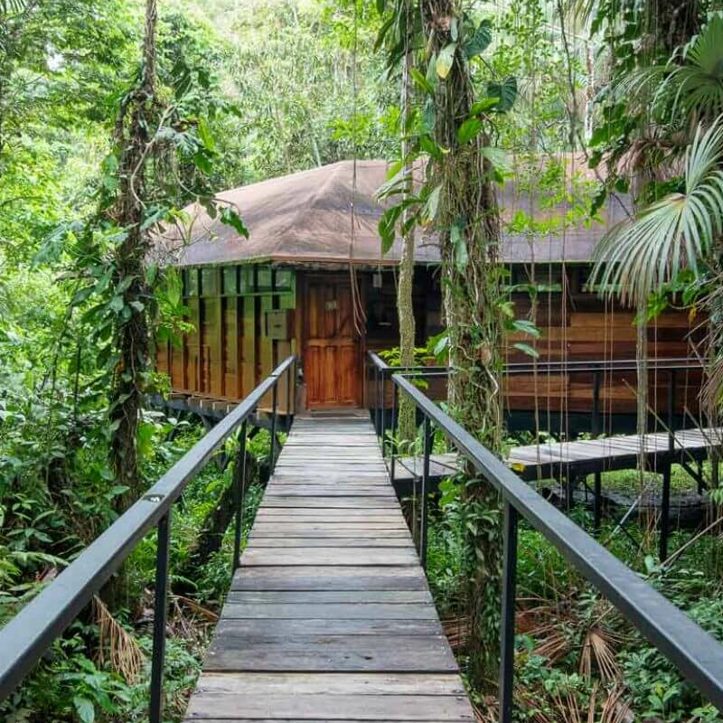 Sacha Lodge