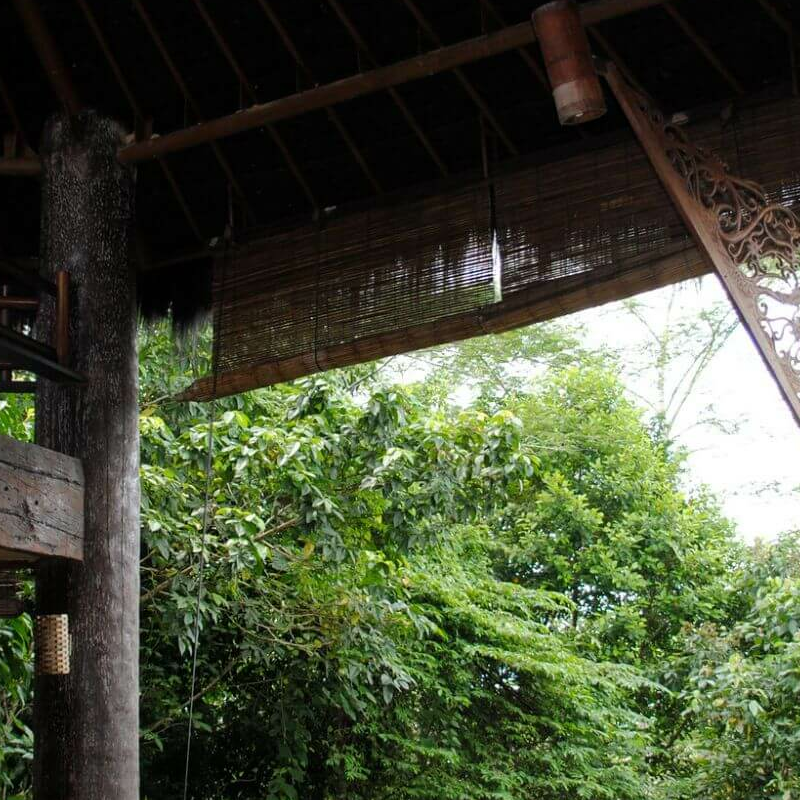 Samboja Lodge