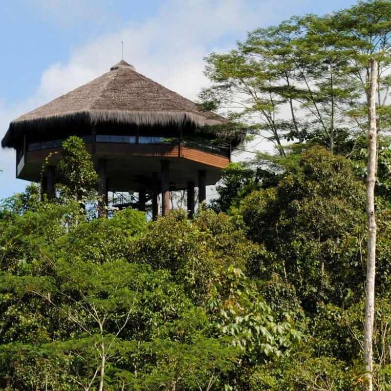 Samboja Lodge