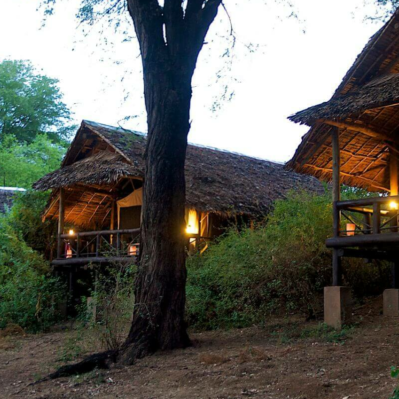 Samburu Intrepids