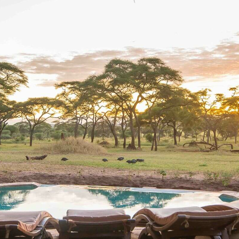 Sancturary Swala Camp