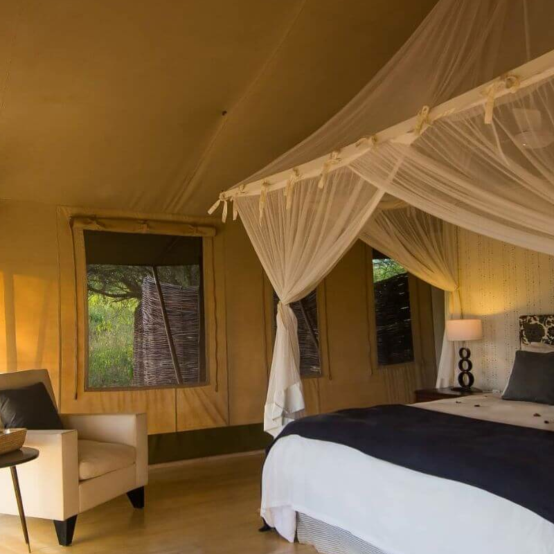 Sancturary Swala Camp