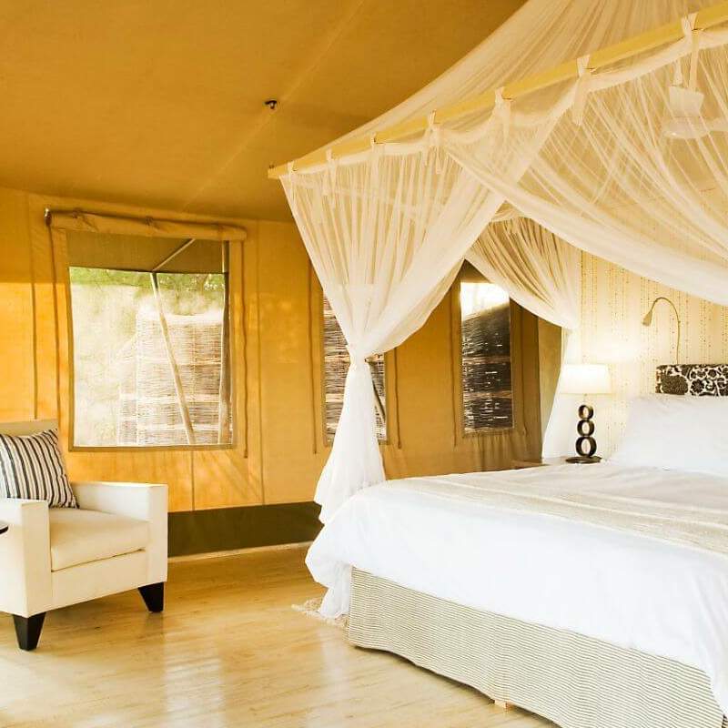 Sancturary Swala Camp