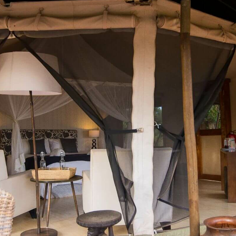 Sancturary Swala Camp