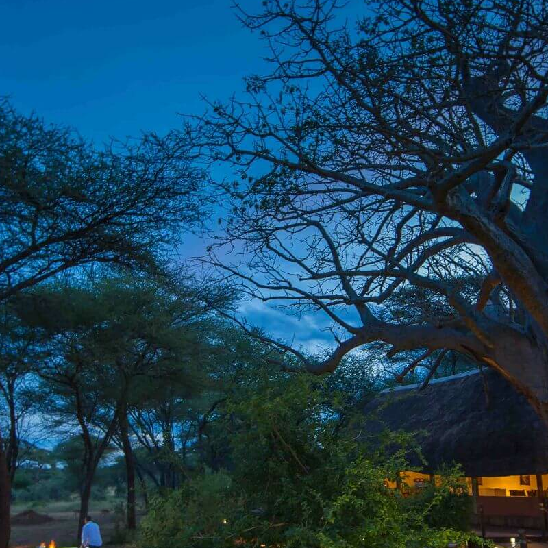 Sancturary Swala Camp