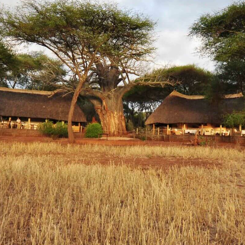 Sancturary Swala Camp